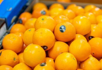 Oranges fraîches et juteuses en rayon au Marché Pernoud, parfaites pour une consommation hivernale en novembre, riche en vitamines.