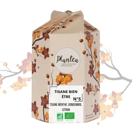 TISANE BIEN-ÃTRE BIO VRAC