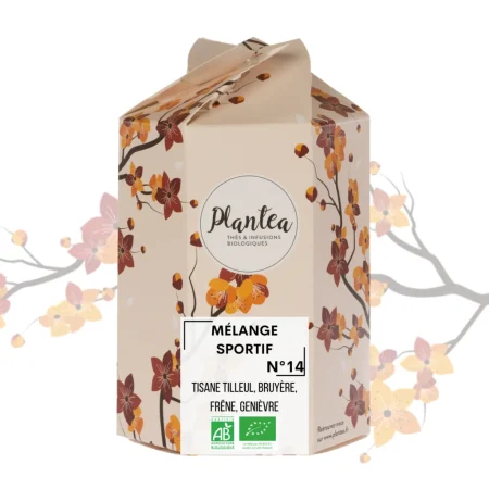 TISANE MÃLANGE SPORTIF BIO VRAC