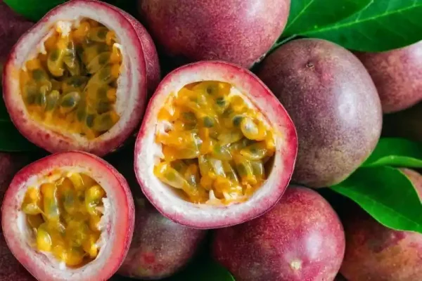 FRUIT DE LA PASSION