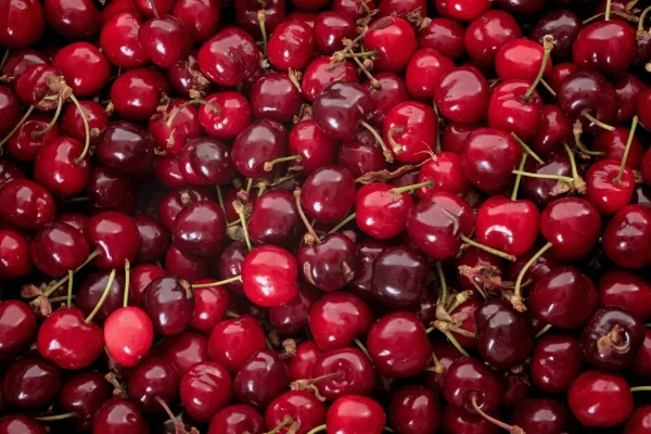 CERISE SUMMIT LE PANIER DE 1KG