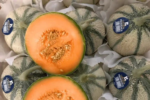 MELON