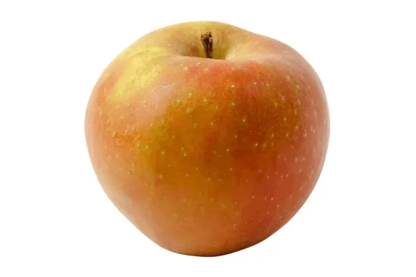 POMME BOSKOOP 12KG
