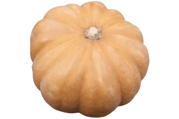 COURGE MUSCADE ENTIERE