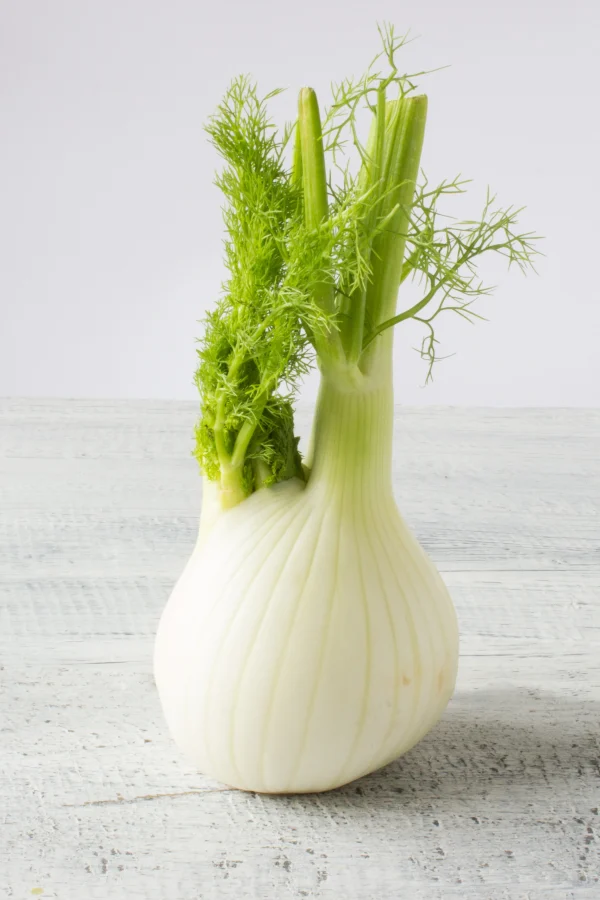 FENOUIL