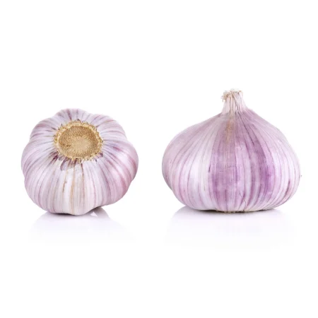 AIL VIOLET