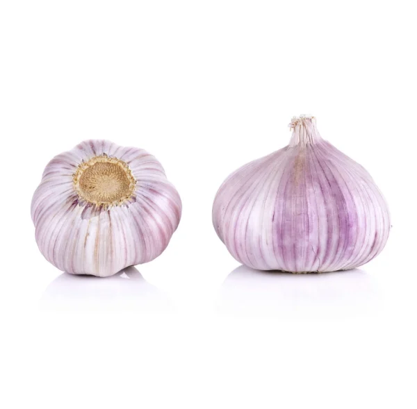 AIL VIOLET
