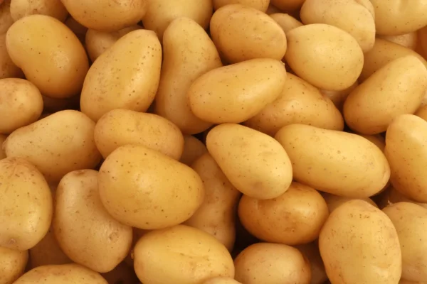 Pomme de terre grenaille délicatesse 1Kg
