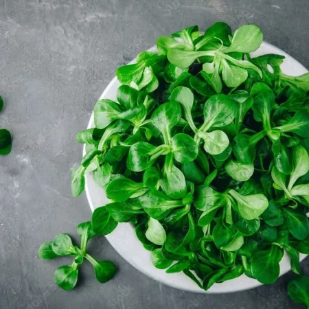 SALADE MACHE