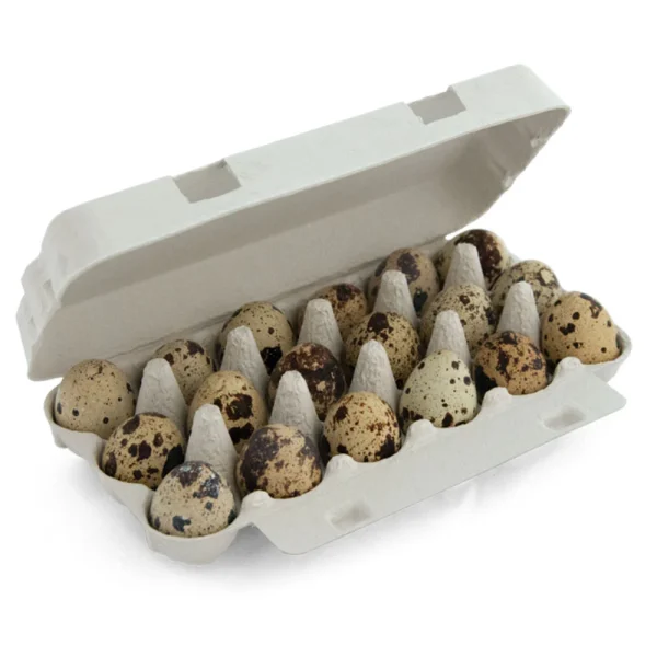 OEUFS CAILLE x18