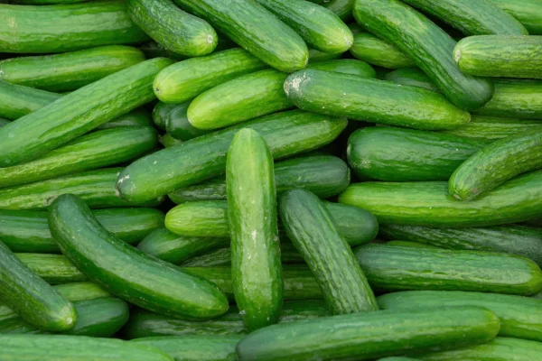 CONCOMBRE