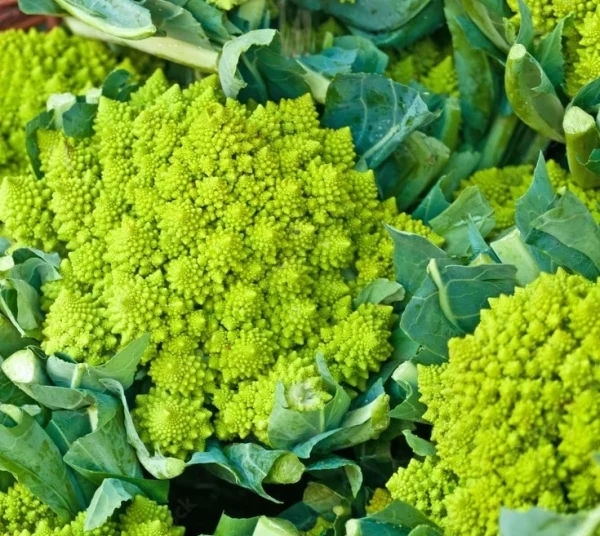 CHOU ROMANESCO