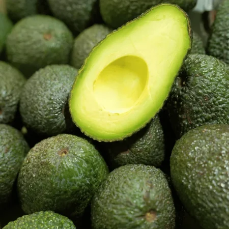 AVOCAT