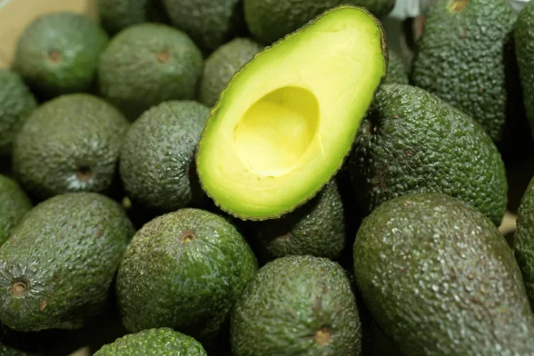 AVOCAT