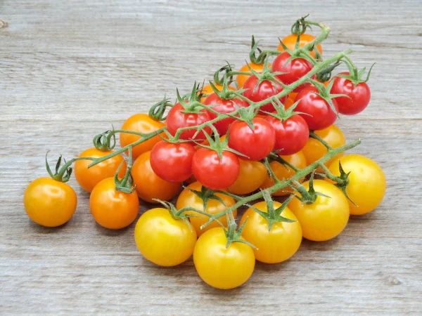 TOMATE CERISE GRAPPE COULEUR