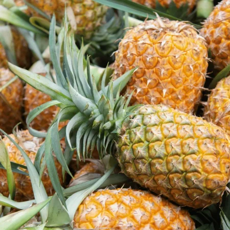 ANANAS AVION