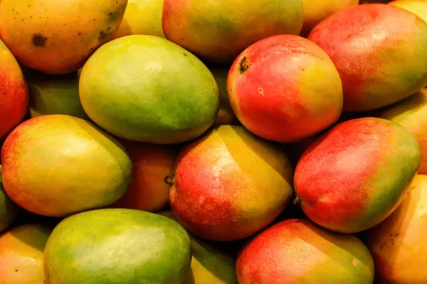 MANGUE AVION