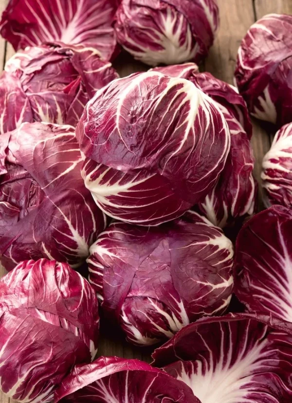 SALADE TREVISE