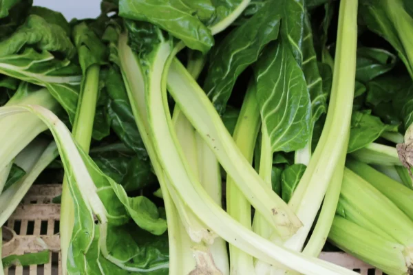 BLETTE BOTTE 1KG
