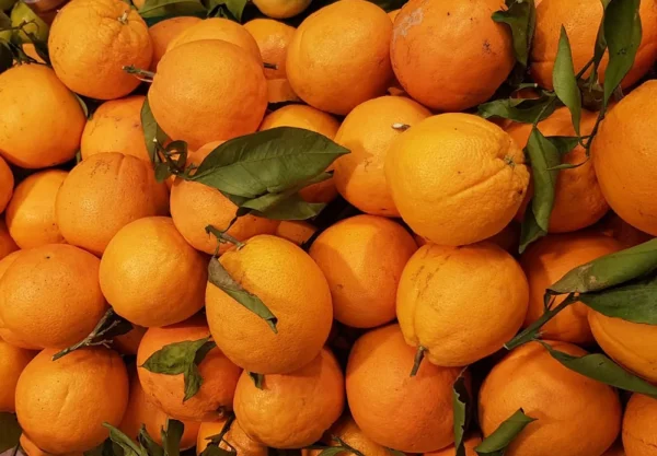 ORANGE FEUILLE