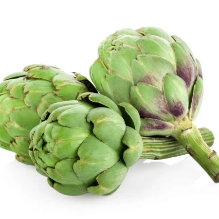 ARTICHAUT BOUQUET