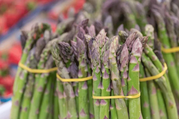 ASPERGE VERTE BOTTE 1KG
