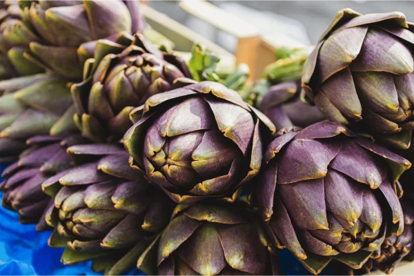 ARTICHAUT VIOLET