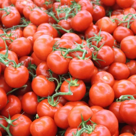 TOMATE RONDE GRAPPE