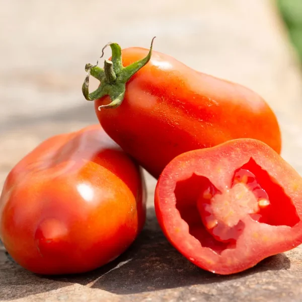 TOMATE SAN MARZANO