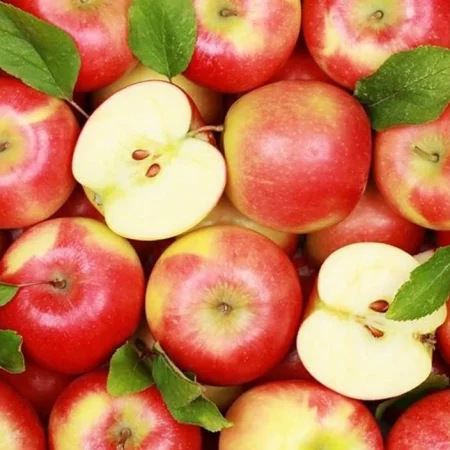POMME RED PRINCE DETAIL