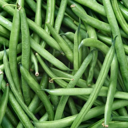 HARICOT VERT