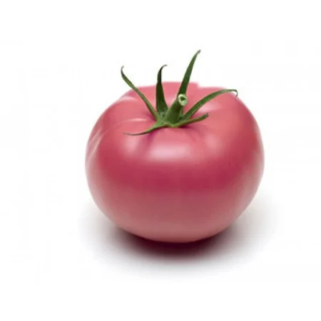 TOMATE COTELEE ROSE DE BERNE