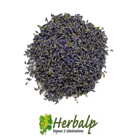 LAVANDE SUPER BLEUE