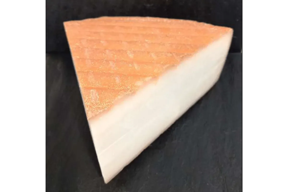 TOMME DE CHEVRE 30%