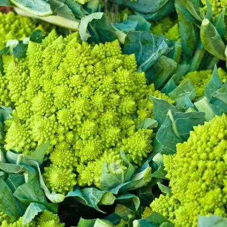 CHOU ROMANESCO