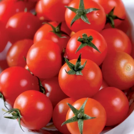 TOMATE CERISE VRAC