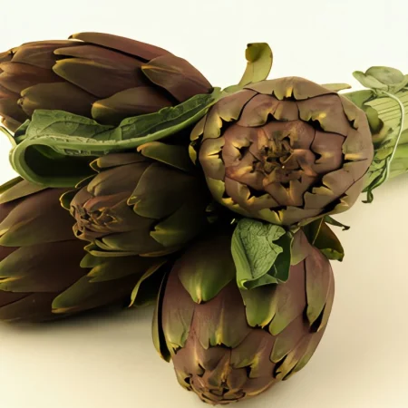 ARTICHAUT BOUQUET