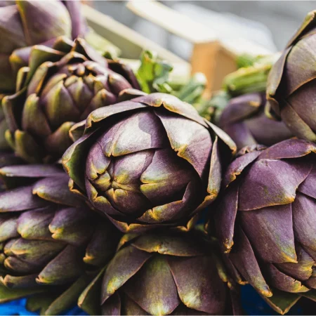 ARTICHAUT VIOLET