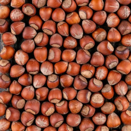 NOISETTE FILET 500Gr