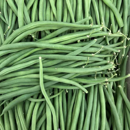 HARICOT VERT