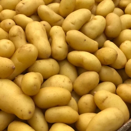 Pomme de terre SPUNTA