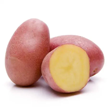 Pomme de terre ROUSSEAU 2.5KG