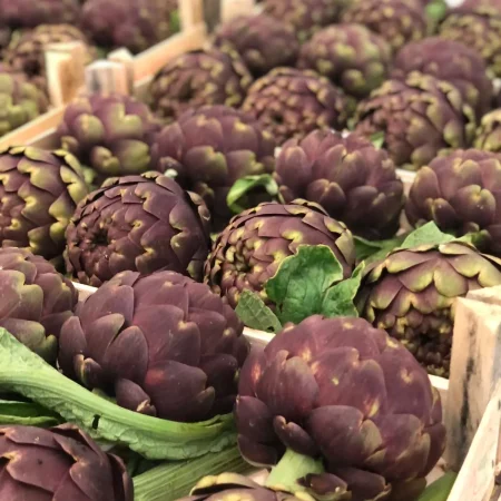ARTICHAUT VIOLET