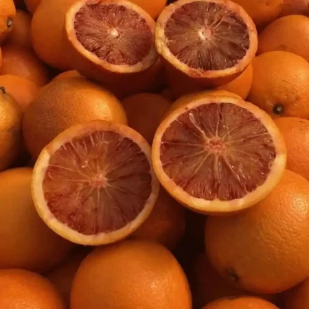 ORANGE SANGUINE