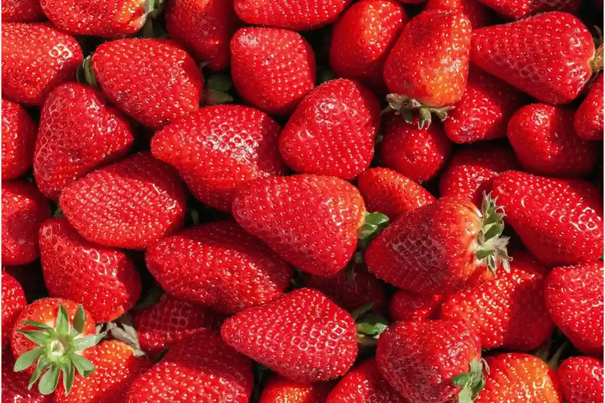 FRAISE 1KG