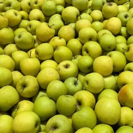 POMME GOLDOR 10KG de nos vergers