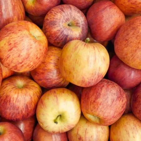 POMME PINOVA 10KG de nos vergers