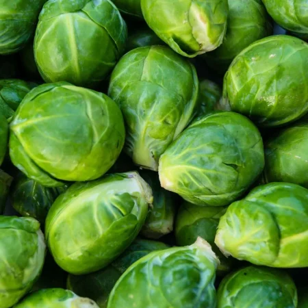 CHOUX DE BRUXELLES