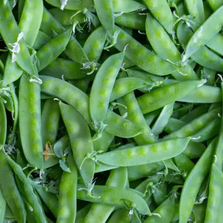 POIS MANGETOUT BQ 250GR