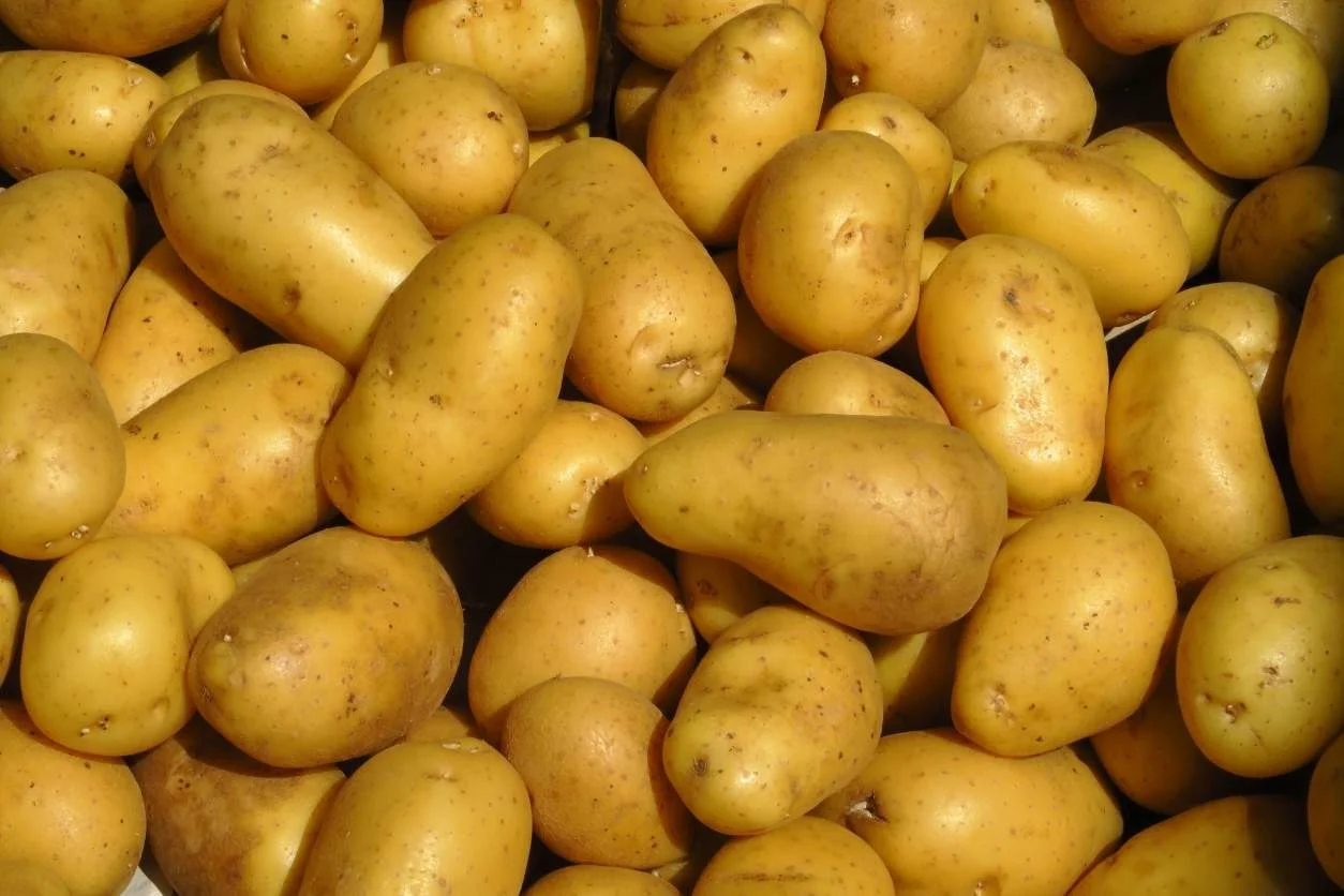 POMME DE TERRE TRESOR 10KG